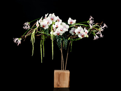 Floral works - Chantal Post - photo 6